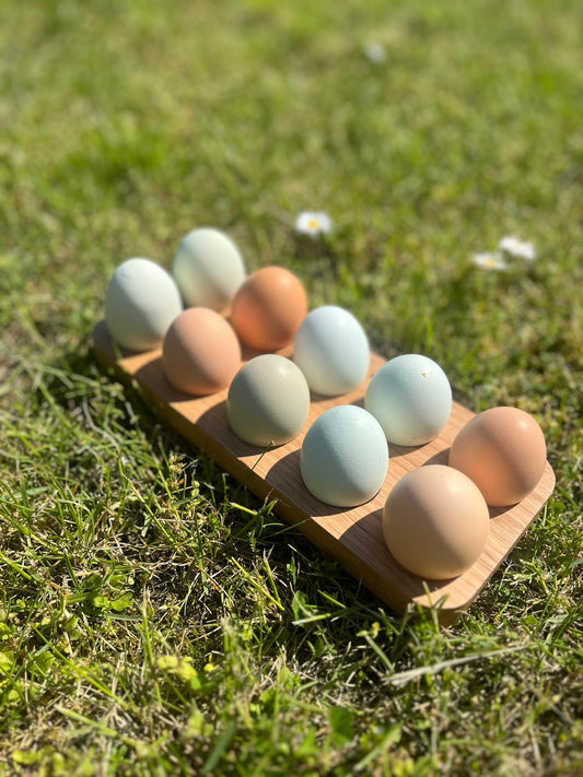 Eierhalter, Eiertablett, Servierbrett aus natürlicher Eiche für 10 Eier