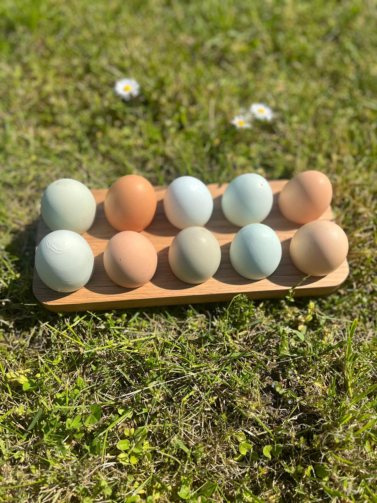 Eierhalter, Eiertablett, Servierbrett aus natürlicher Eiche für 10 Eier