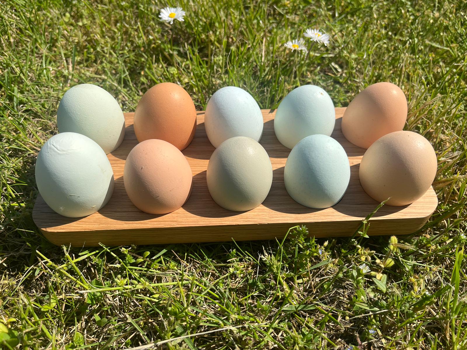 Eierhalter, Eiertablett, Servierbrett aus natürlicher Eiche für 10 Eier